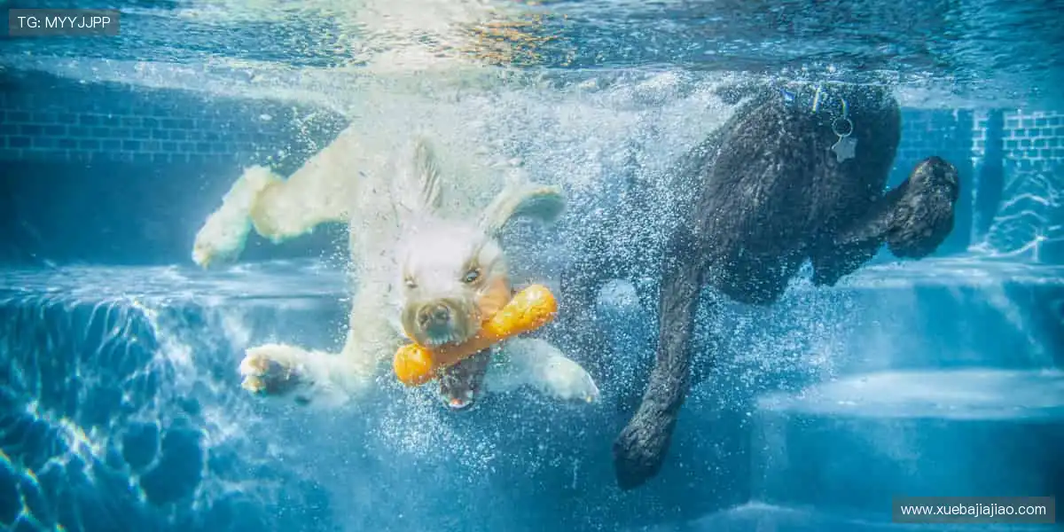 全球游戏全覆盖平台：高清呈现每一局，赢取惊喜永不停